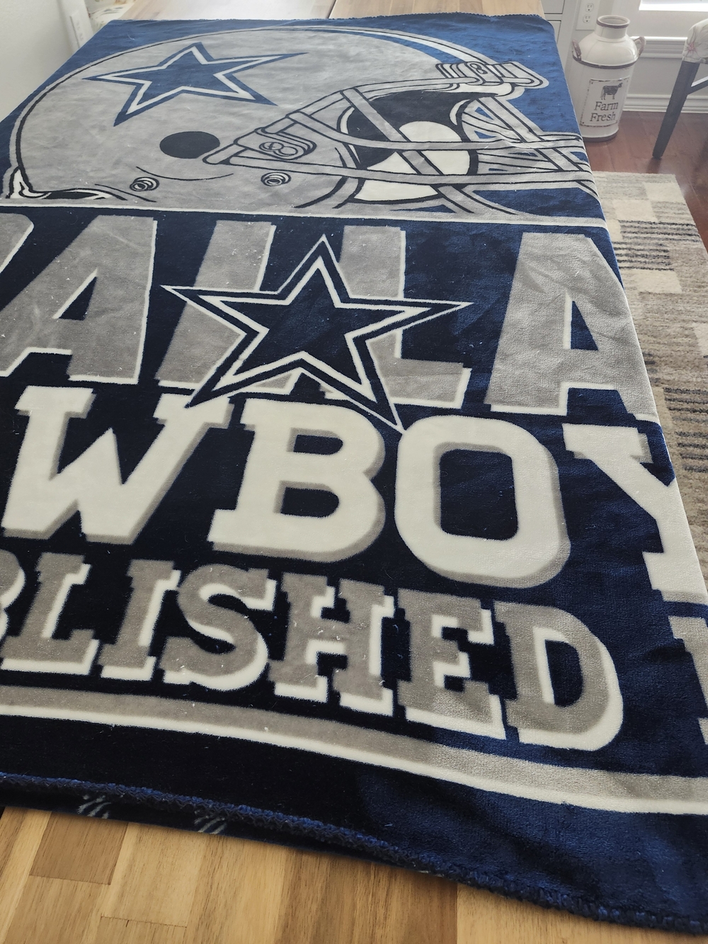 NFL Plush Team Logo Blanket - Navy and White